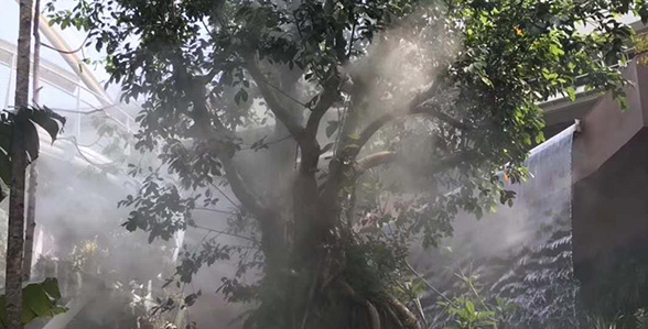 延慶世園會(huì)霧噴項(xiàng)目